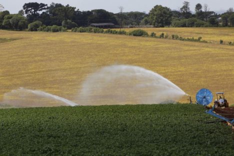 Imagem referente a Governador sanciona lei que institui política de segurança hídrica na agricultura no Paraná