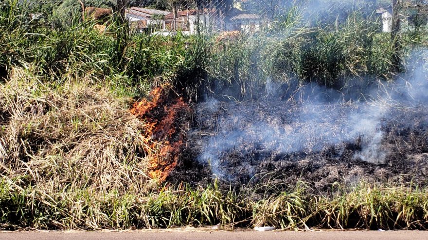 Cascavel registra aumento no número de incêndios ambientais os quais estão sendo iniciados por ‘desocupados’