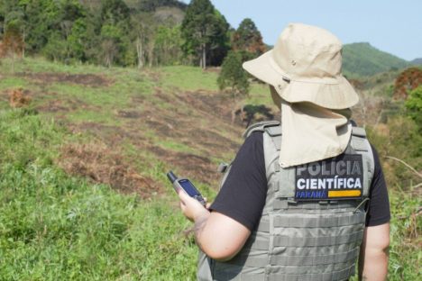 Imagem referente a Polícia Científica já emitiu mais de mil requisições de perícia para crimes ambientais