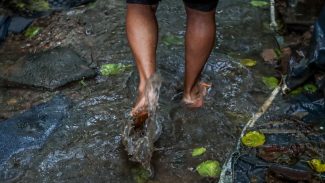 Número de mortes por leptospirose chega a 15 no Rio Grande do Sul