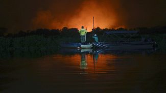 STF dá prazo para Congresso aprovar lei de proteção do Pantanal