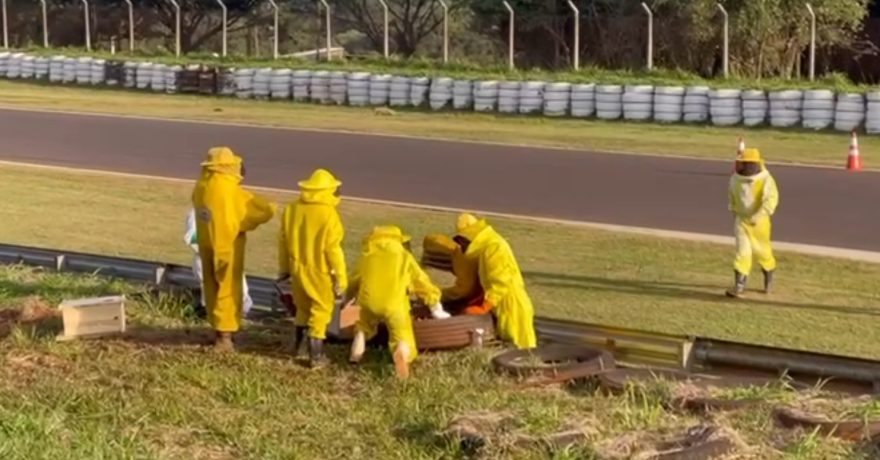 Segurança e preservação: Defesa Civil de Cascavel participa de curso intensivo de captura de abelhas