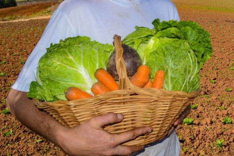 Imagem referente a Saúde publica e-book sobre doenças provocadas por alimentos e como previni-las