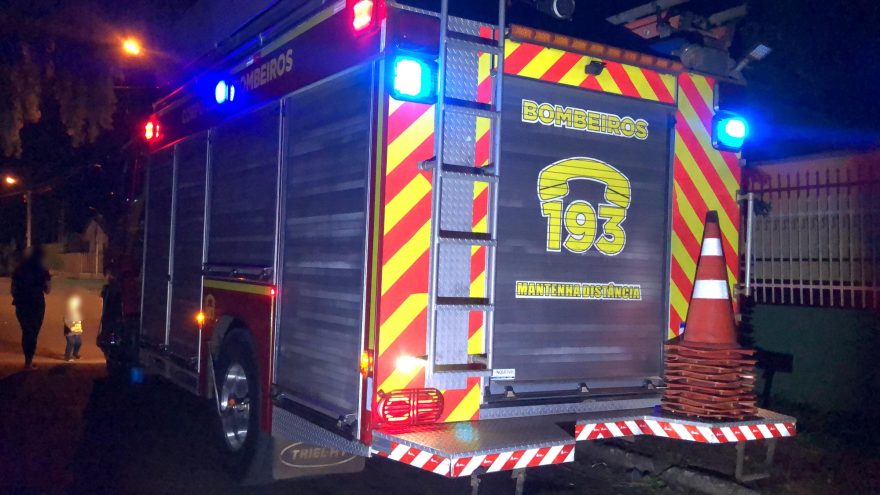 Corpo de Bombeiros resgata cão que caiu em fossa no Brasmadeira