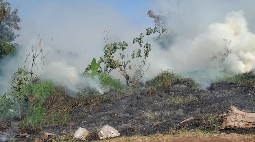 Incêndio em vegetação mobiliza Corpo de Bombeiros no Santa Cruz