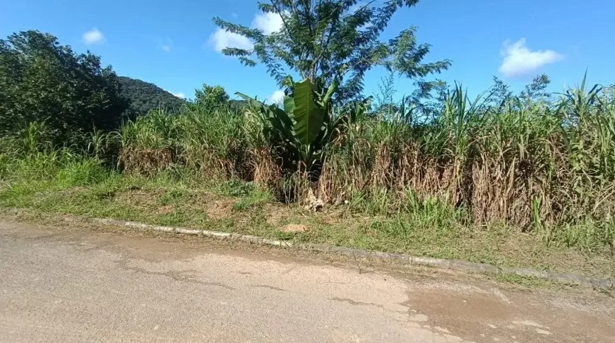 Inacreditável: Pai arremessa filha de um mês de vida em barranco Inacreditável: Pai arremessa filha de um mês de vida em barranco