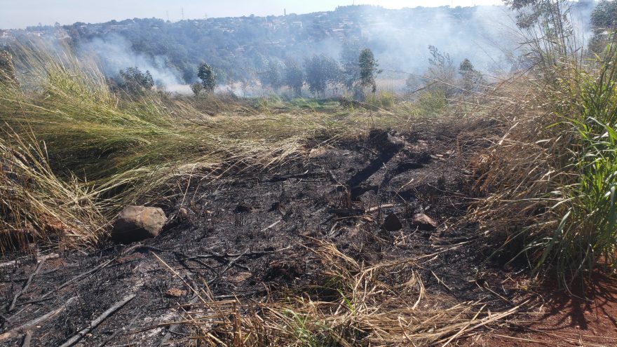 Corpo de Bombeiros é mobilizado para apagar incêndio em vegetação no Santa Felicidade