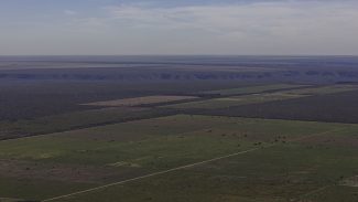 Em meio à expansão do desmatamento, Piauí debate nova lei ambiental