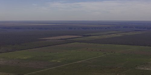 Imagem referente a Em meio à expansão do desmatamento, Piauí debate nova lei ambiental