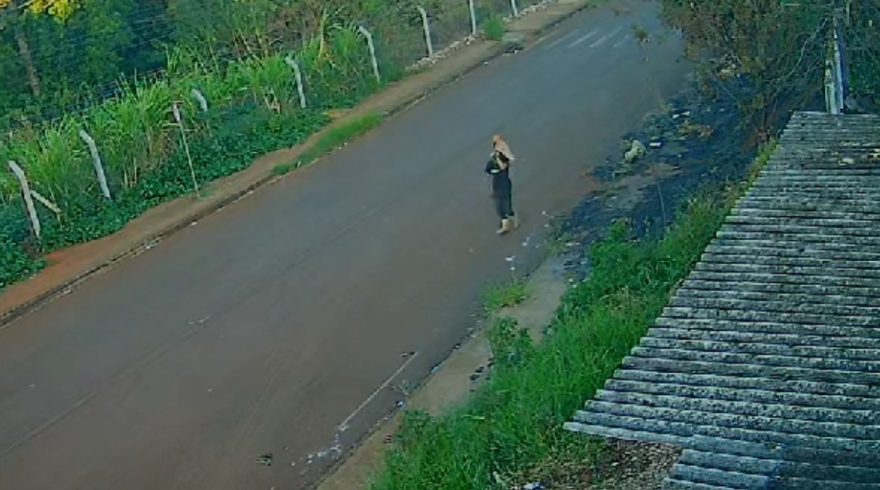 Plantio de mandioca vira alvo de ladrões no Jardim presidente: família faz apelo
