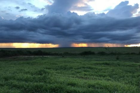 Imagem referente a Boletim Agrometeorológico de maio indica excesso de chuvas no Sul e escassez no Norte