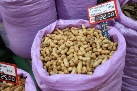 Imagem referente a Típico das festas juninas, amendoim tem maior área plantada no Paraná em 12 anos