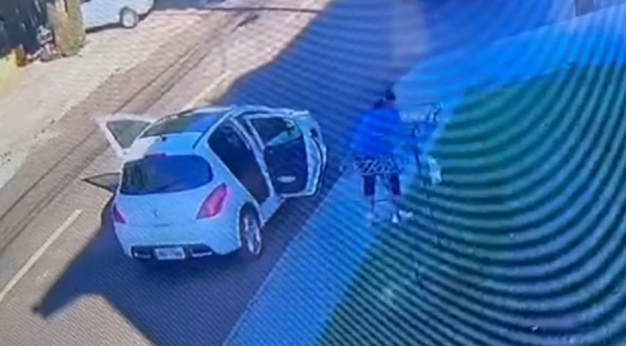 Alguém entendeu? Mulher é flagrada recolhendo fezes de cachorro e depois jogando na grama