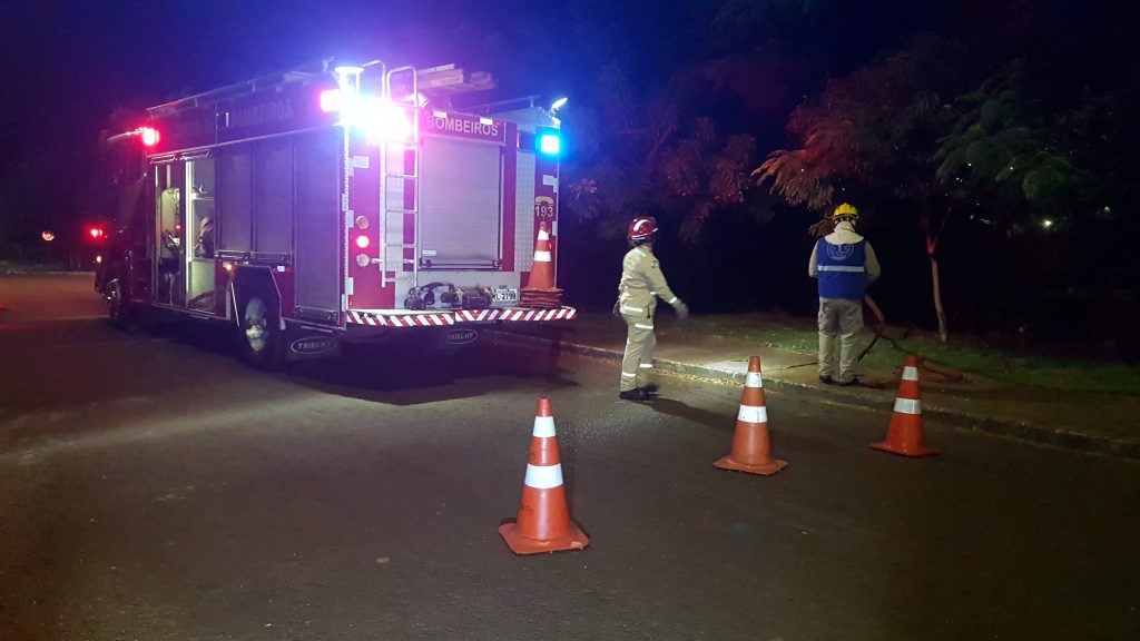 Corpo de Bombeiros combate incêndio em vegetação no Santa Cruz