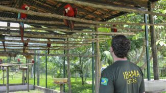 Servidores do meio ambiente decidem entrar em greve no dia 24