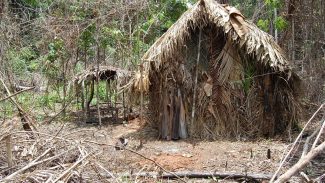 Futuro da área onde viveu “Índio do Buraco” é alvo de disputa judicial