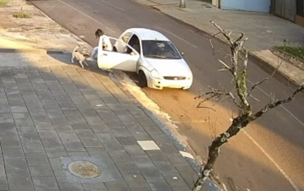 Câmera de monitoramento registra mulher abandonando cão em Cascavel