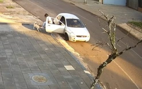 Câmera de monitoramento registra mulher abandonando cão em Cascavel Imagem referente a Câmera de monitoramento registra mulher abandonando cão em Cascavel