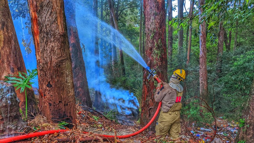 Bombeiros combatem incêndio em plantação de eucaliptos; moradores cobram providências sobre árvores