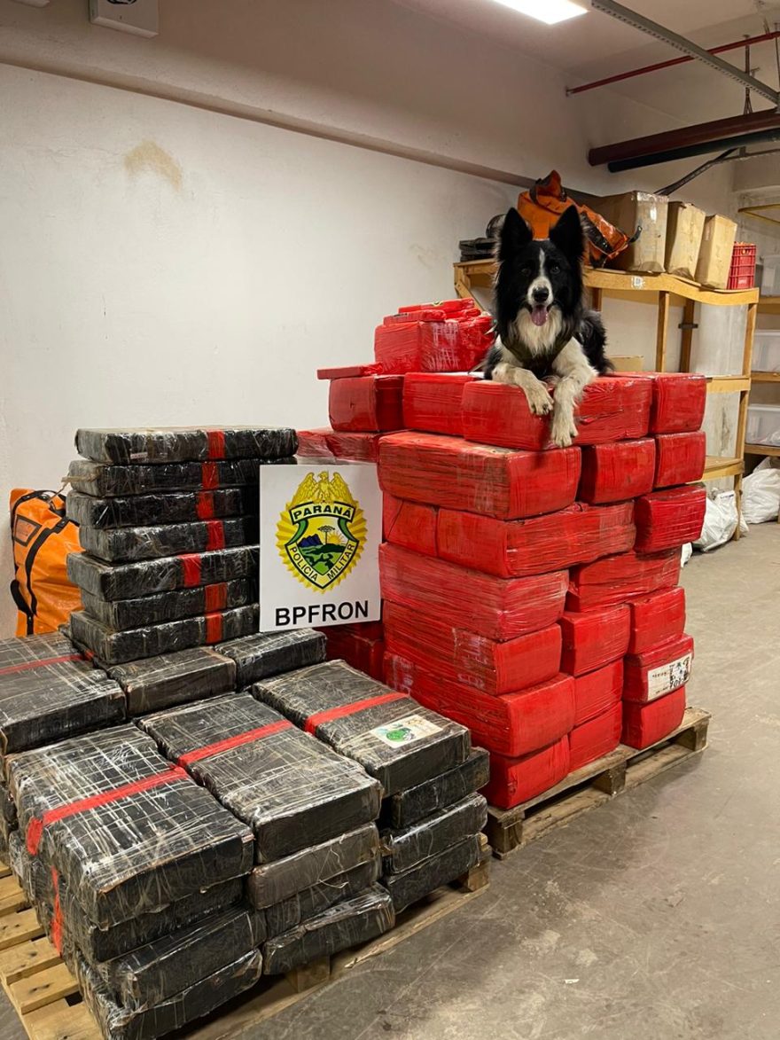 Operação Protetor: BPFron apreende mais de uma tonelada de maconha em Santa Helena