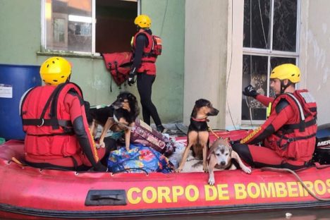 Imagem referente a Curso de resposta a desastres preparou bombeiros do Paraná para ação no Rio Grande do Sul