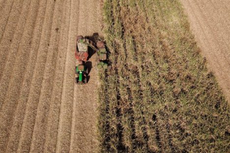 VBP Agropecuário do Paraná cresce 11% em 2023 e alcança R$ 197,8 bilhões