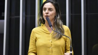 Conselho de Ética da Câmara arquiva ação contra Fernanda Melchionna