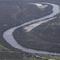 Brasil detém só 18% de patentes sobre flora endêmica da Mata Atlântica Imagem referente a Brasil detém só 18% de patentes sobre flora endêmica da Mata Atlântica