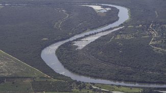 Brasil detém só 18% de patentes sobre flora endêmica da Mata Atlântica