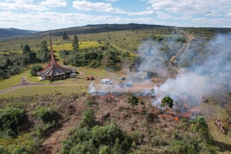Livre do pinus: IAT finaliza etapa de junho com a limpeza 11,2 hectares em Vila Velha