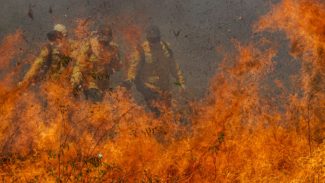 Pantanal acumula em 12 meses mais de 9 mil focos de incêndio