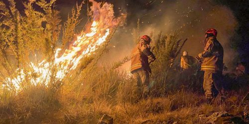 Imagem referente a Ministério Público investiga incêndio no Parque Nacional do Itatiaia