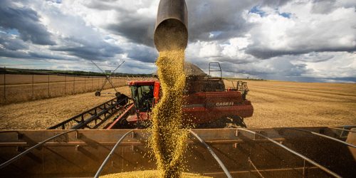 Imagem referente a Alckmin comemora dados de produção agroindustrial em abril