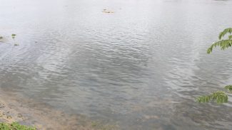 UFRJ desenvolve teste rápido para detectar água contaminada