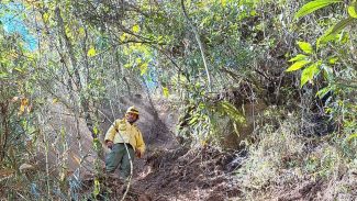 Após oito dias, incêndio no Parque Nacional do Itatiaia é extinto