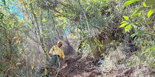 Imagem referente a Após oito dias, incêndio no Parque Nacional do Itatiaia é extinto