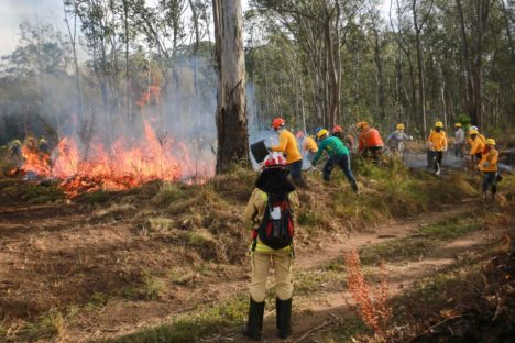 IAT capacita 65 voluntários para atuar em incêndios em Unidades de Conservação