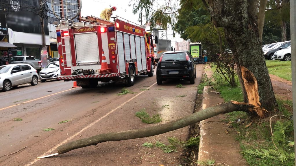 Árvore quebra sobre caminhão e mobiliza Corpo de Bombeiros na Rua JK Árvore quebra sobre caminhão e mobiliza Corpo de Bombeiros na Rua JK