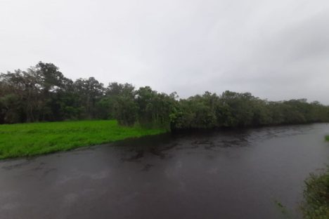 Estação Ecológica Rio das Pombas: Paraná ganha a 73ª Unidade de Conservação