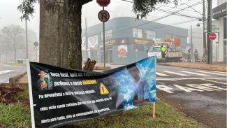 Após morte do menino Nando, Transitar inicia instalação de semáforo na Rua Paraná