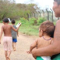 Conab faz leilões para compra de cestas de alimentos para os yanomami Imagem referente a Conab faz leilões para compra de cestas de alimentos para os yanomami