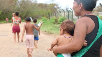 Conab faz leilões para compra de cestas de alimentos para os yanomami