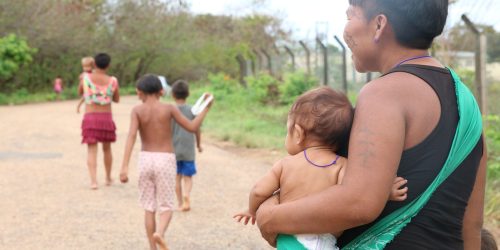 Imagem referente a Conab faz leilões para compra de cestas de alimentos para os yanomami