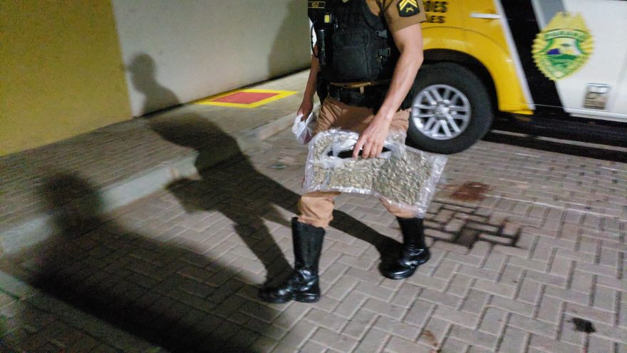 Treinamento de rotina leva à apreensão de drogas em ônibus