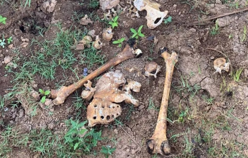 Ossada humana é encontrada às margens de rio