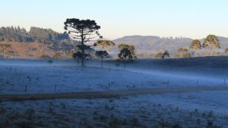 Massa de ar frio provoca queda de temperatura e geada no Sul do país