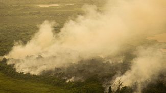 FAB faz quatro voos hoje para o Pantanal para combate às queimadas