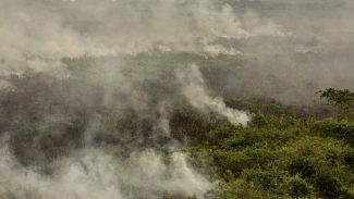 Força Nacional reforça equipe de combate a incêndios no Pantanal