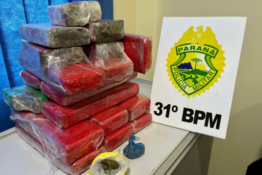 Mulher em posse de maconha é detida em ônibus de linha na BR-369