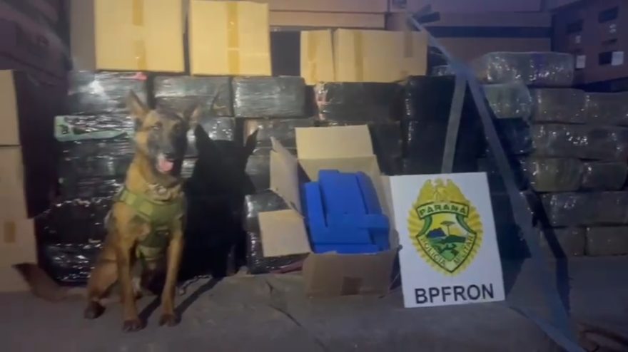 Operação integrada apreende 2,5 Toneladas de maconha em Cascavel; Prejuízo de R$ 5 Milhões ao crime